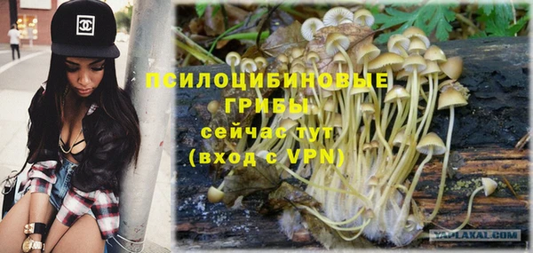 ешки Абинск