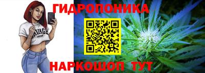 амф Шебекино