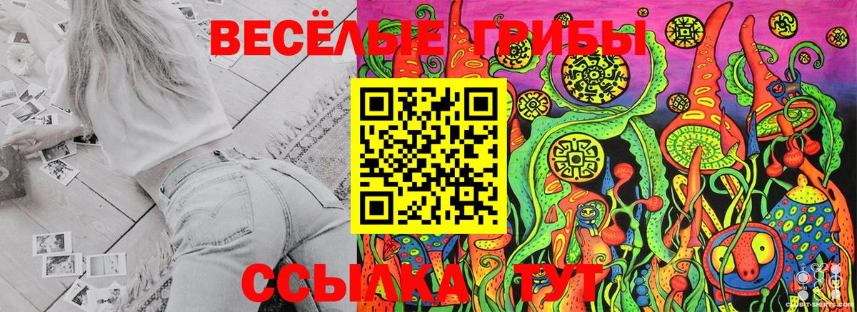 Alpha PVP Альметьевск